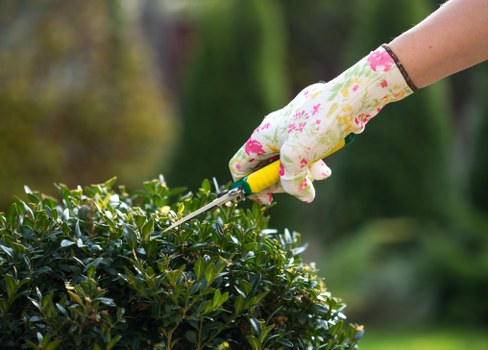 Gardener clearing a small Neasden front garden with tools and bags