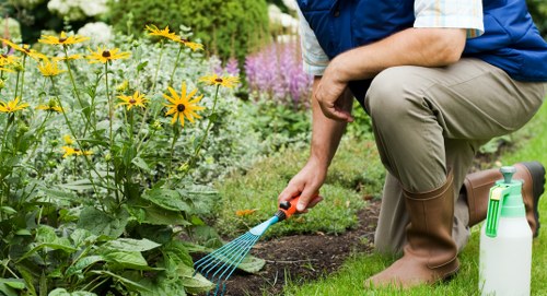 Eco-friendly lawn mowing equipment in action