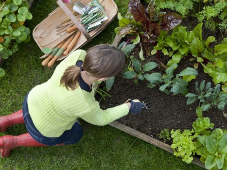 Gardening team inspecting a lawn and plants during investigation
